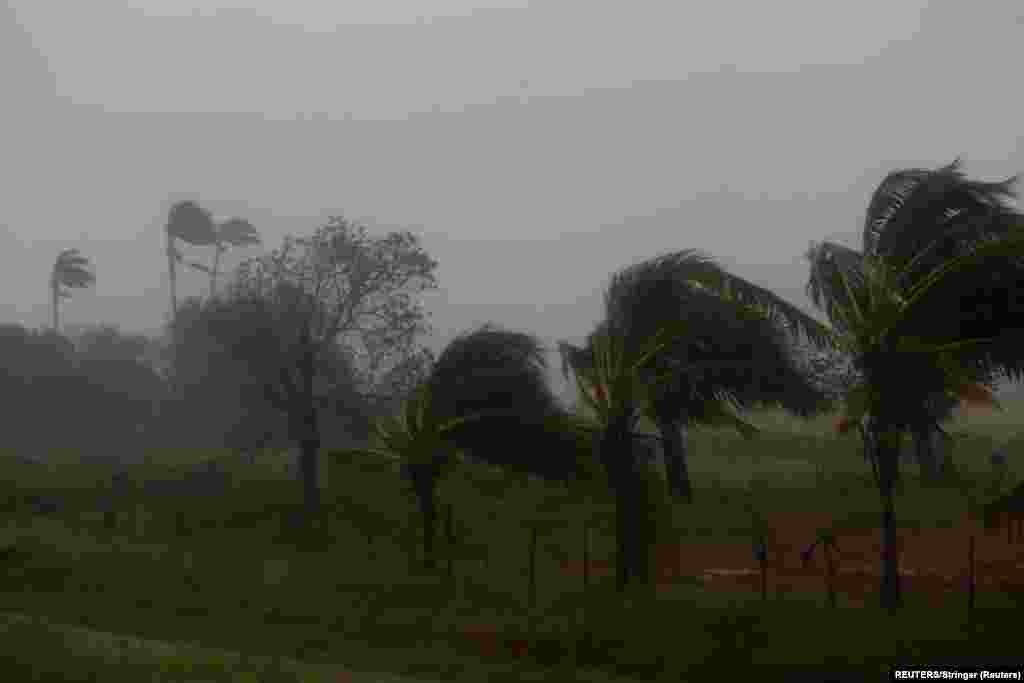 Fuertes vientos y lluvias impactaron los cultivos después de que el huracán Ian tocara tierra antes en la provincia cubana de Pinar del Río, en Consolación del Sur, Cuba, el 27 de septiembre de 2022. REUTERS/Stringer 